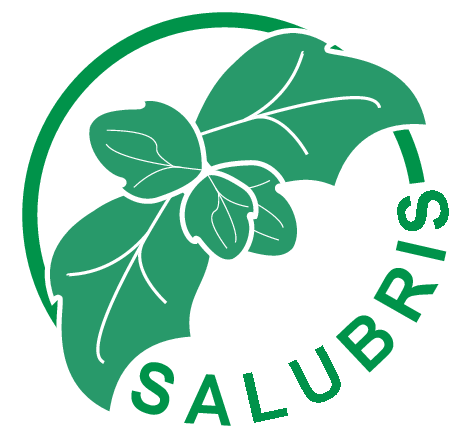 Big SALUBRIS logo